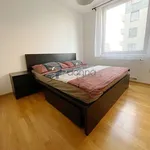 Rent 3 bedroom apartment of 3 m² in Capital City of Prague