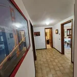 Rent 2 bedroom house of 65 m² in Viareggio