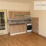 Rent 1 bedroom apartment of 1 m² in Praha