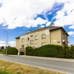 Rent 2 bedroom apartment of 52 m² in Plzeň