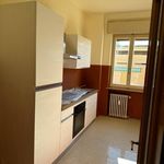 Rent 3 bedroom apartment of 100 m² in Cremona