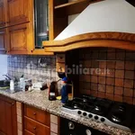 Rent 3 bedroom apartment of 75 m² in Piacenza