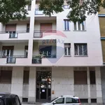 Rent 2 bedroom apartment of 55 m² in Torino