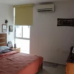 Rent 3 bedroom house in Mérida