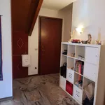 Rent 6 bedroom apartment of 16 m² in padova