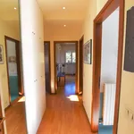 Rent 4 bedroom apartment of 100 m² in Porto San Giorgio