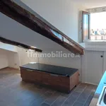 Rent 1 bedroom apartment of 30 m² in Turin