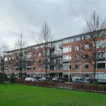 Rent 2 bedroom apartment of 110 m² in Utrecht