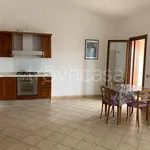 Rent 4 bedroom apartment of 120 m² in Olbia