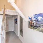 Rent 3 bedroom apartment in Prague