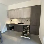 Rent 2 bedroom apartment of 45 m² in Turin