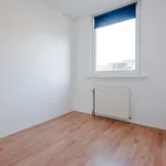 Rent 4 bedroom house of 100 m² in Haarlem