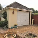 Detached bungalow to rent in Scotts Grove Road, Chobham, Woking GU24