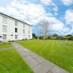 Rent 2 bedroom flat in Exeter