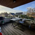 Rent 1 bedroom apartment in Geel