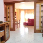 Rent 3 bedroom apartment of 110 m² in Cinisello Balsamo