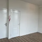 Huur 1 slaapkamer appartement van 22 m² in Haarlem