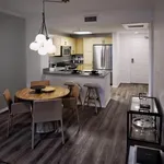 Rent 1 bedroom apartment in New York