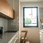 Pronajměte si 3 ložnic/e byt o rozloze 86 m² v Prague