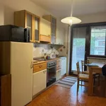 2-room flat via Lungo Leno Sinistro 24, Centro Sud, Rovereto