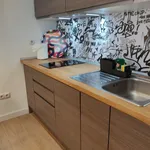 Rent 1 bedroom apartment of 38 m² in Madrid