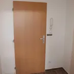 Rent 2 bedroom apartment of 32 m² in Brno