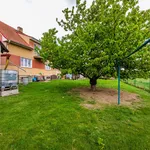 Rent 2 bedroom apartment of 70 m² in Hradištko