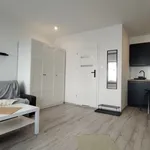 Rent 1 bedroom apartment of 24 m² in ul. Mikołaja Reja