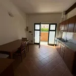 Rent 2 bedroom apartment of 50 m² in Pavia