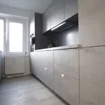 Rent 1 bedroom apartment in berlin