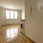 Rent 1 bedroom apartment of 36 m² in louny