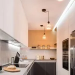 Rent 3 bedroom apartment of 150 m² in madrid