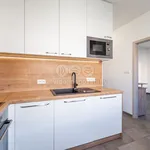 Rent 3 bedroom apartment of 62 m² in Velké Meziříčí