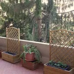 Rent 4 bedroom apartment of 90 m² in Massa