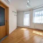 Pronajměte si 4 ložnic/e byt o rozloze 146 m² v Prague