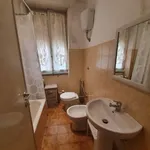 Rent 3 bedroom apartment of 100 m² in Roma