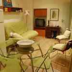 Rent 1 bedroom apartment of 50 m² in Valencia']