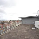 Rent 1 bedroom flat in Belfast