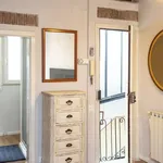 Rent 1 bedroom apartment in rome