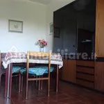 Rent 4 bedroom apartment of 91 m² in Bologna