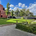 Rent 2 bedroom apartment in Geel