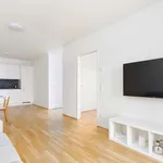 Rent 3 bedroom apartment of 45 m² in Wien