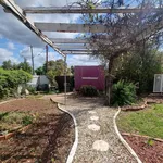 Rent 3 bedroom house in Parkes