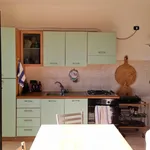 Rent 2 bedroom apartment of 80 m² in borgia