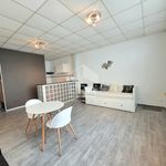 Appartement de 32 m² avec 1 chambre(s) en location à pau