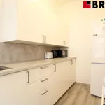 Rent 3 bedroom apartment in Brno