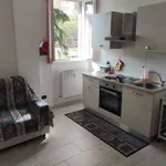 Rent 1 bedroom apartment of 50 m² in Cremona