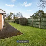 Rent 3 bedroom house in South West England