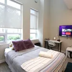 Rent 1 bedroom apartment in Old Toronto