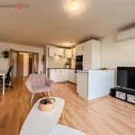 Rent 2 bedroom apartment of 59 m² in Trhový Štěpánov